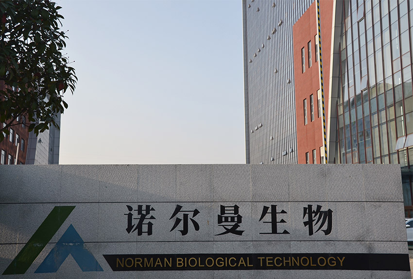 immunoflurescence analyzer manufacturer 